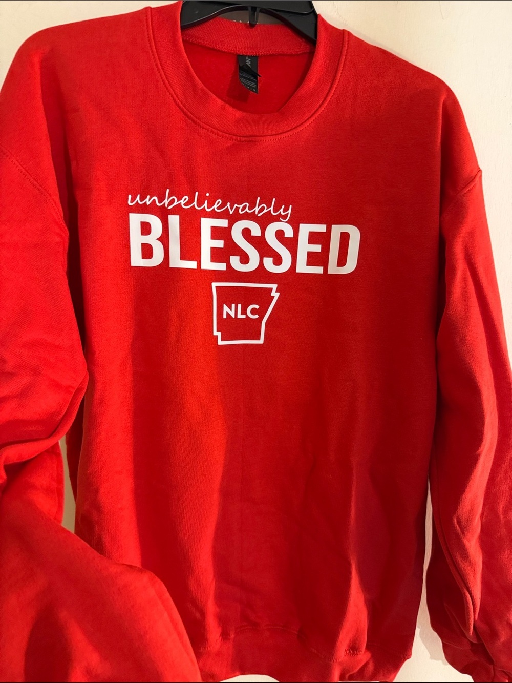 Gildan Red Crewneck Sweatshirt
